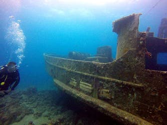 Bayahibe Scuba Diving Tour for Certified Divers